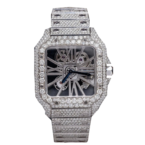 Santos Skeleton Iced Out Stainless Steel