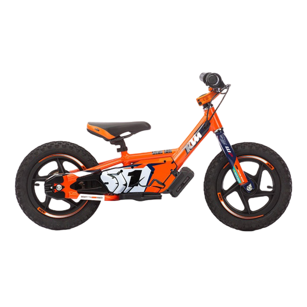 12eDrive Bike