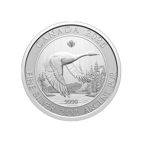 2oz Canada Goose Silver Coin