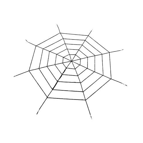 Spiderweb