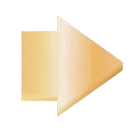prev slide icon